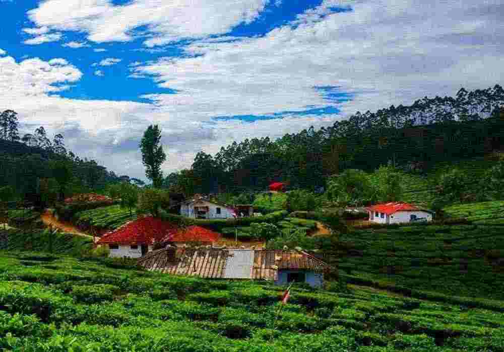 Munnar Honeymoon Package