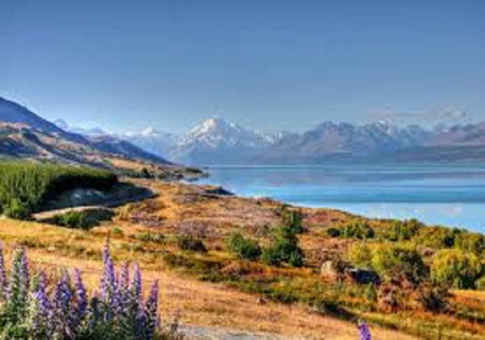 New Zealand New Year Package