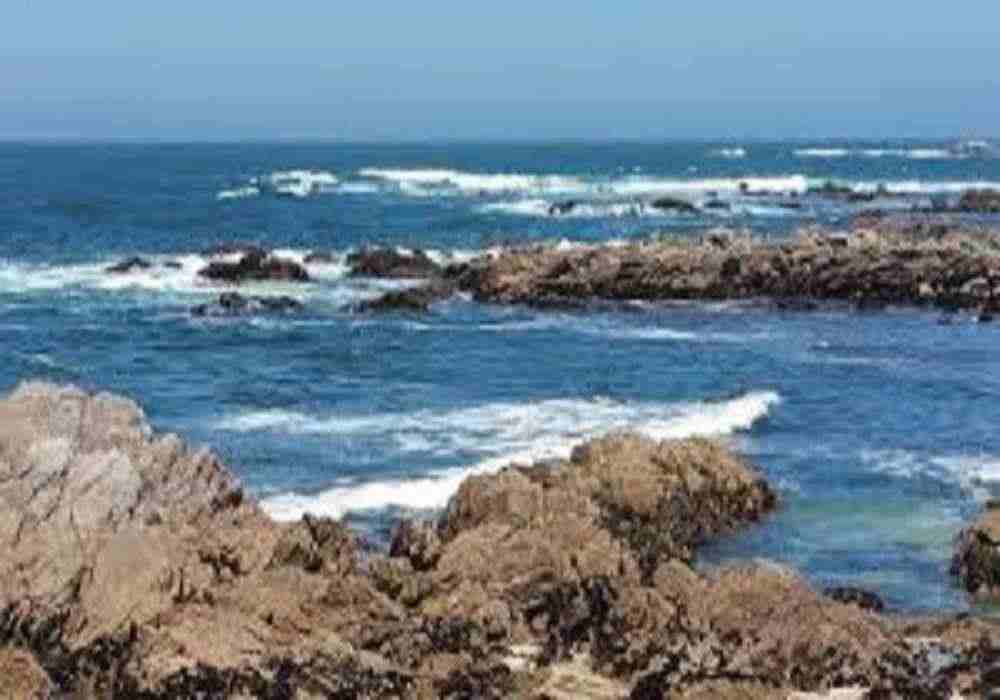 Pacific Family Package