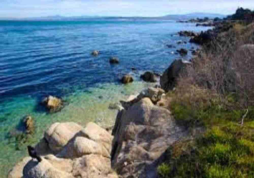 Pacific Birthday Party Package