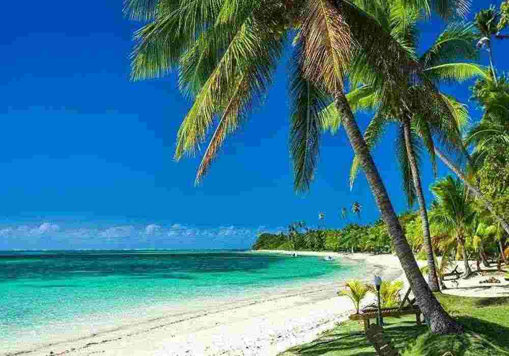 Pacific Paradise Honeymoon Tour packages