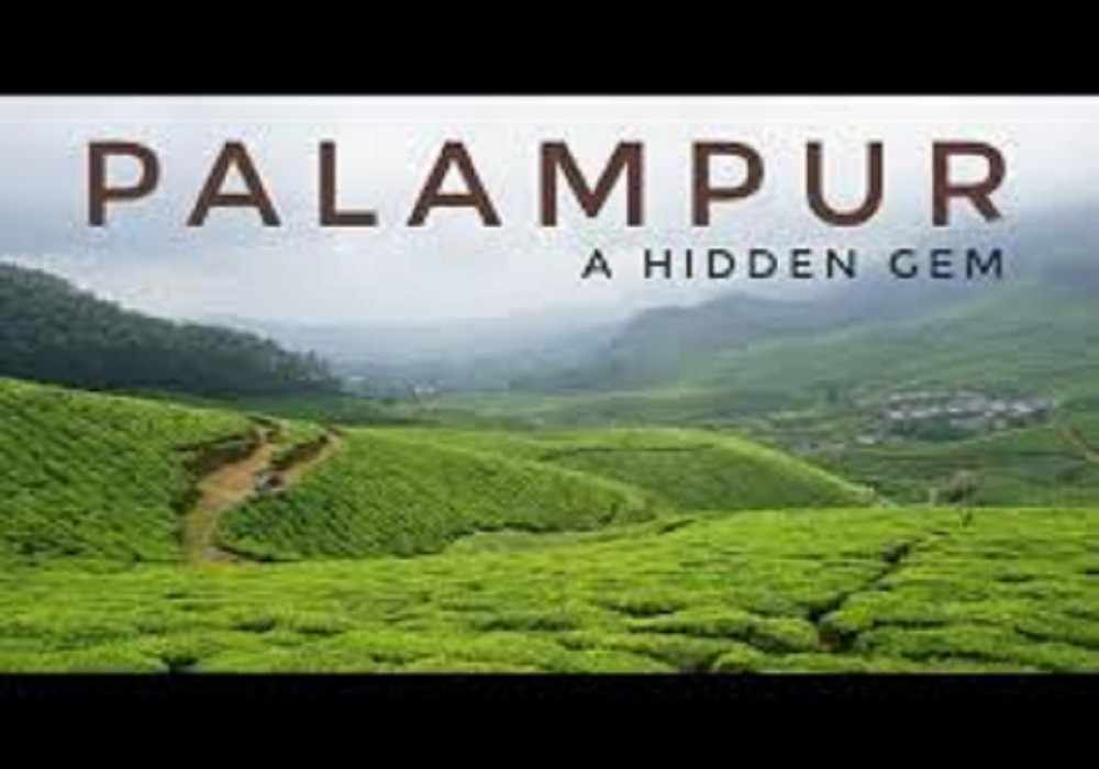 Palampur Christmas Package