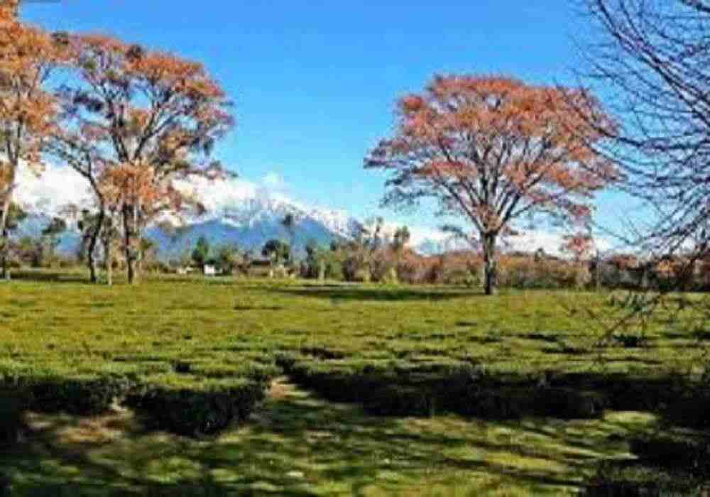 Palampur School Tour Package