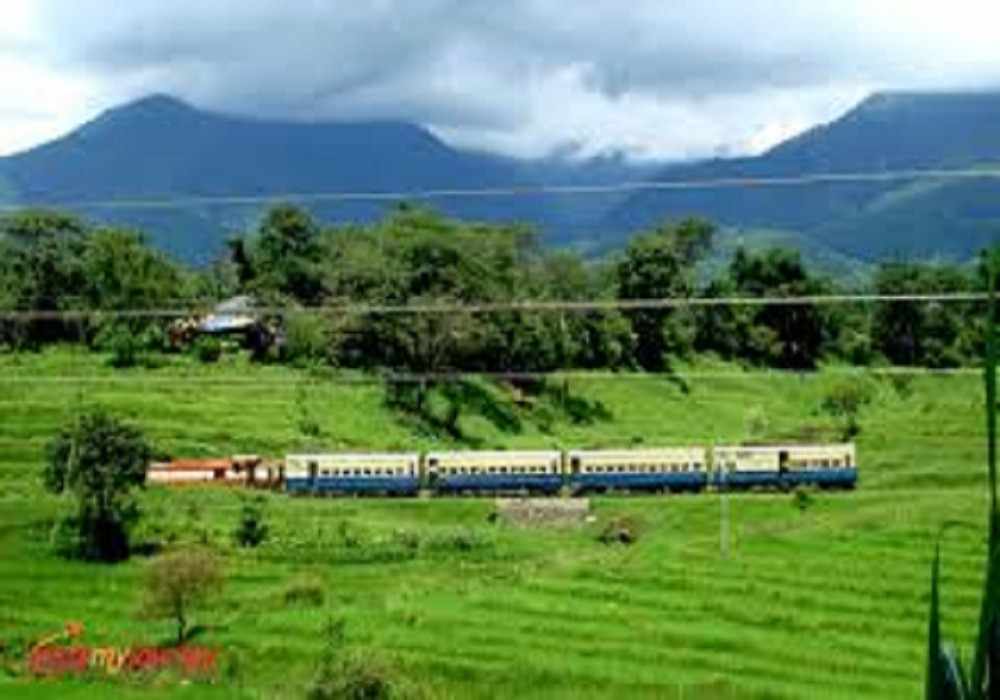 Palanpur Holi Package