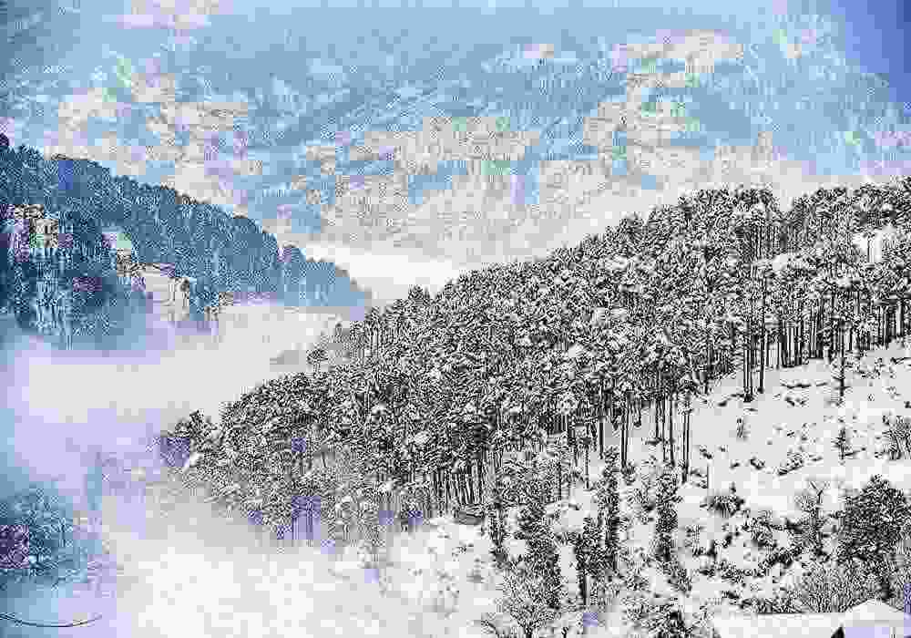 Patnitop Honeymoon Package