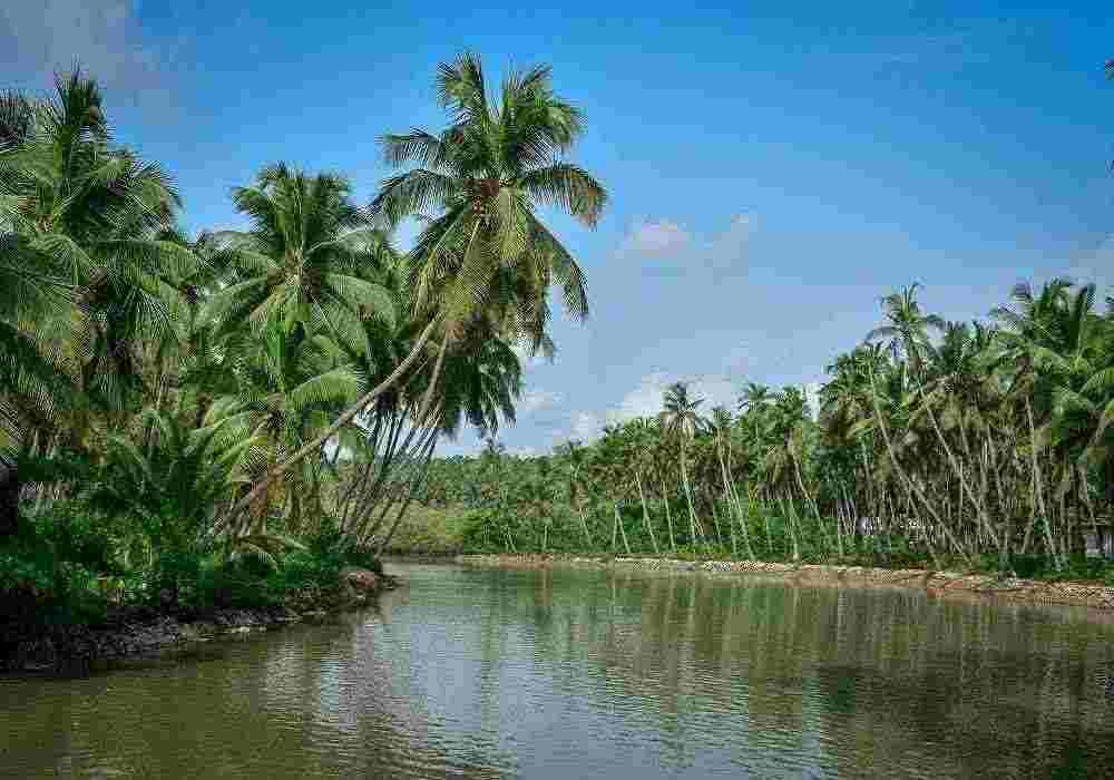 Delhi to Kannur Trip Package
