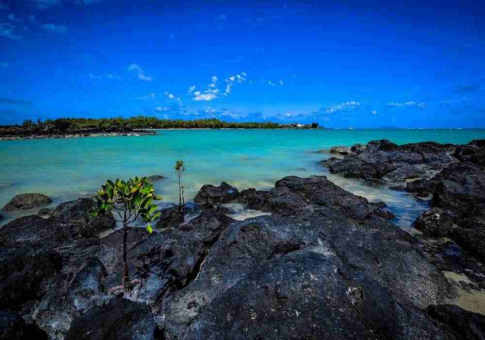 Explore Mauritius and Dubai – Dual Destination Holiday Experience