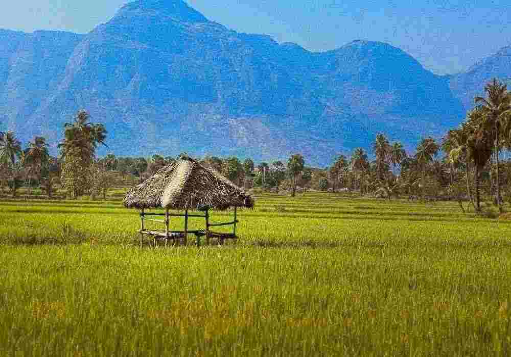 Delhi to Palakkad Trip Package