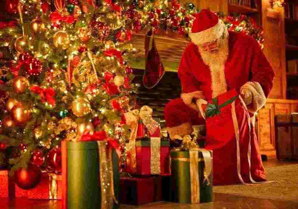 Ranthambore Christmas Package