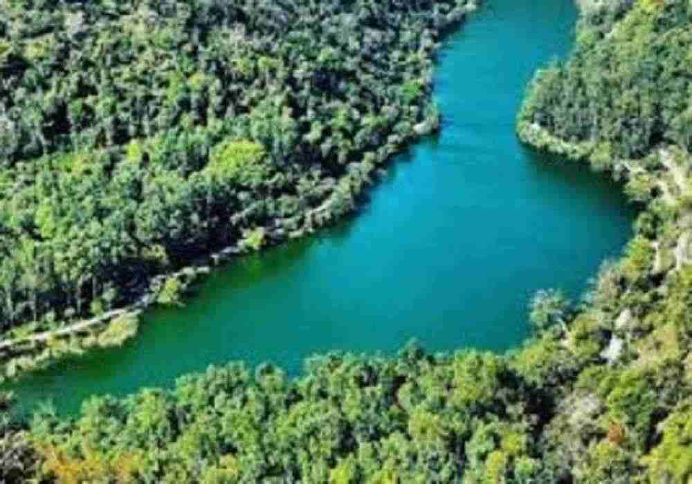 Renukaji Holi Package