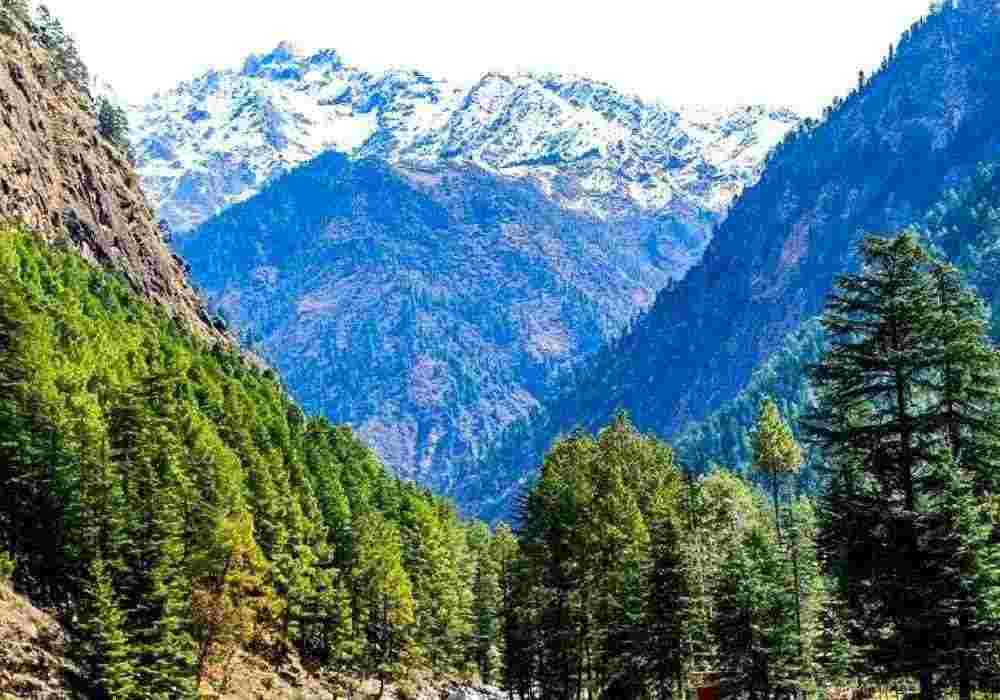 Reunion Honeymoon Tour Packages