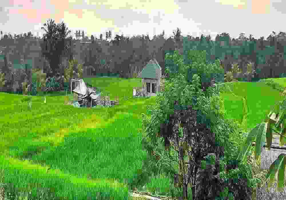 Samalkha  School Tour Package