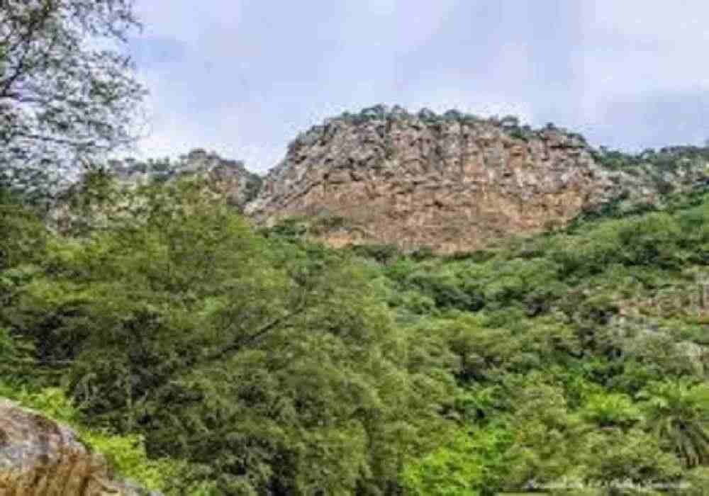 Sariska Christmas Package