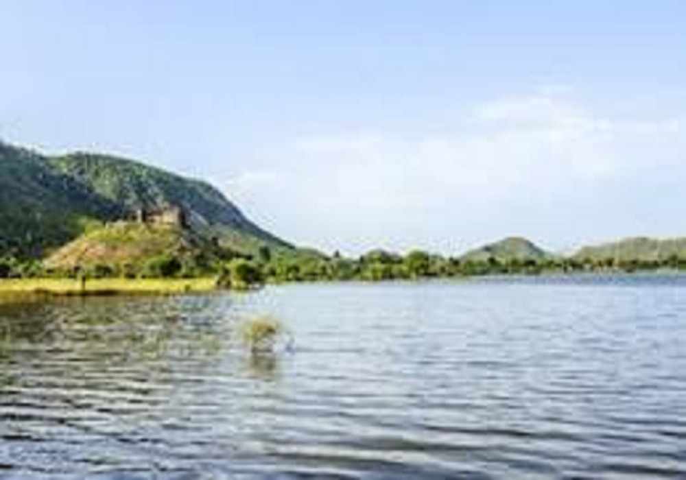 Sariska Family Package