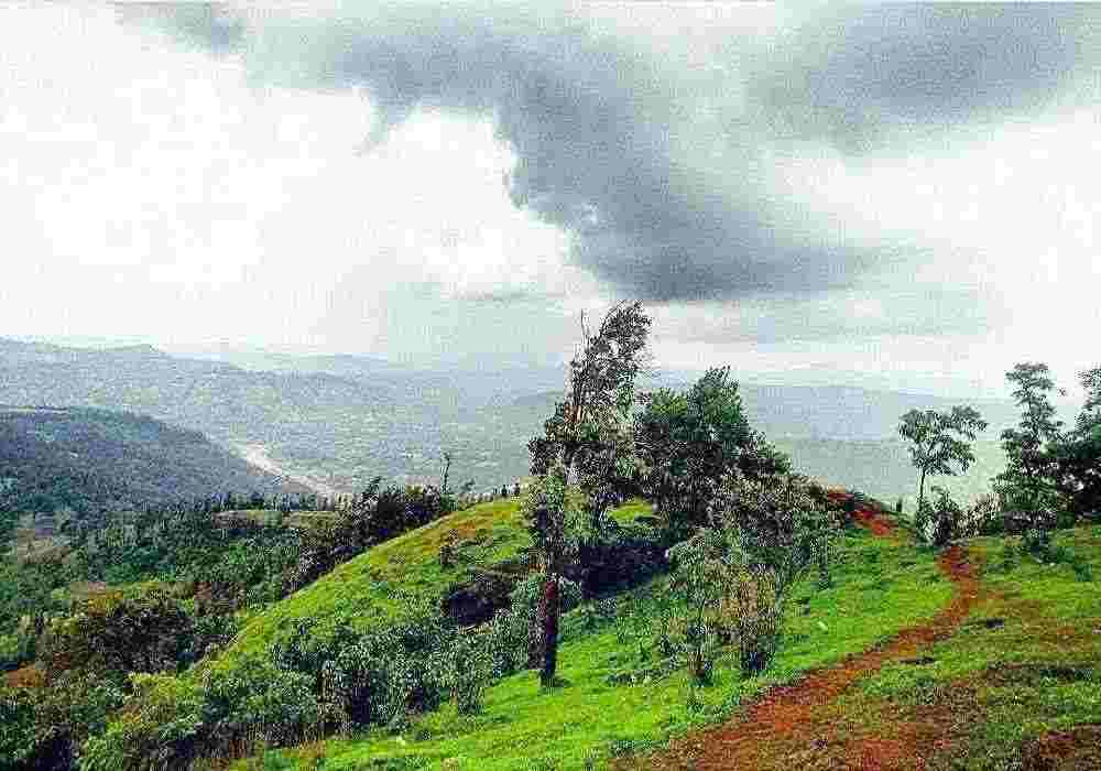 Valsad Group Tour Package