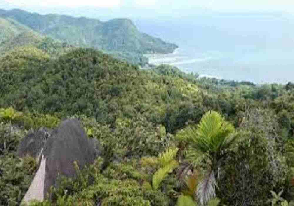 Zimbabwe New Year Package